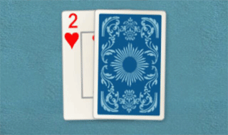 Blackjack Pro