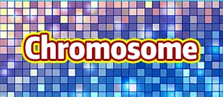 Color Flood: Chromosome Challenge
