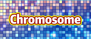Chromatic Conquest