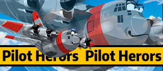 Aerial Ace: Pilot Heroes