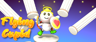 Cupid's Flight Adventure