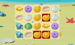 Shell Finding Challenge