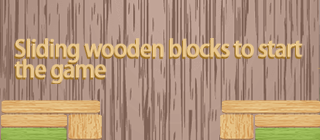 Block Slide Master